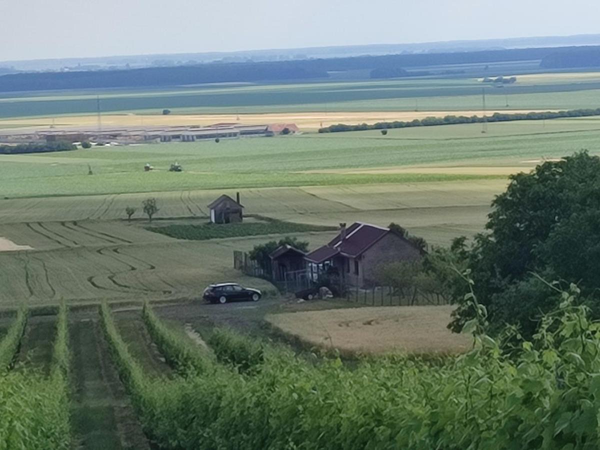 فيلا Kuca Za Odmor Kiss-Karanac,Baranja المظهر الخارجي الصورة