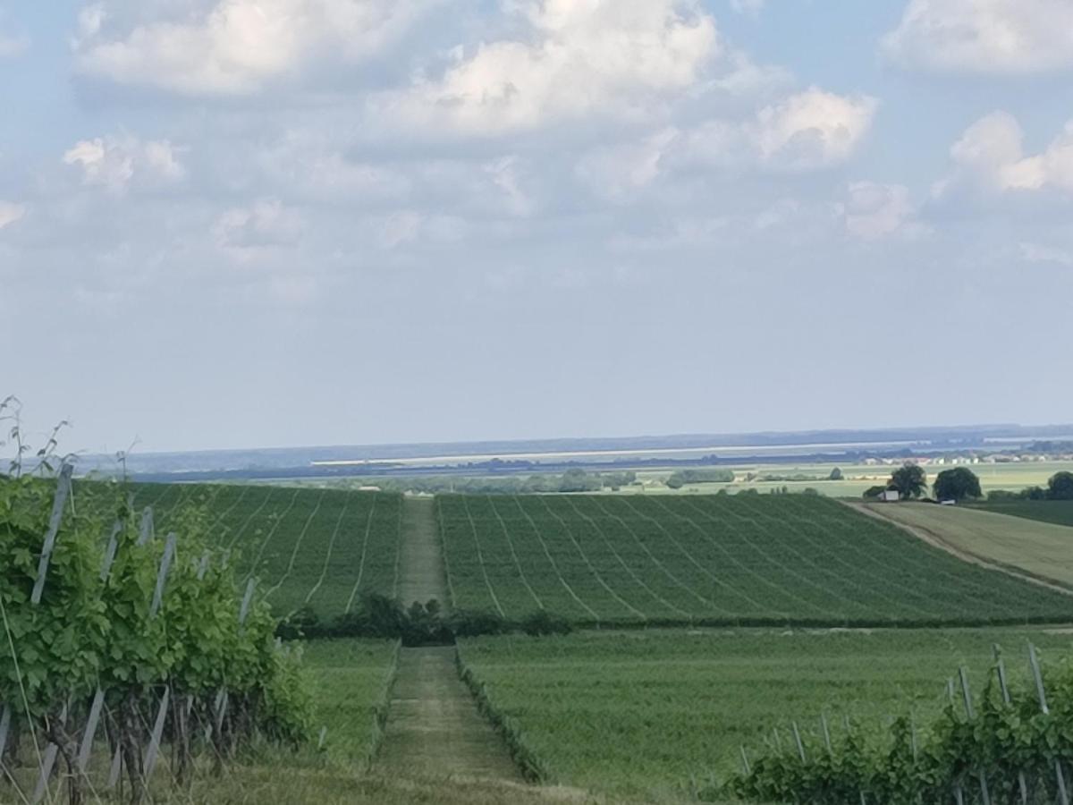 فيلا Kuca Za Odmor Kiss-Karanac,Baranja المظهر الخارجي الصورة