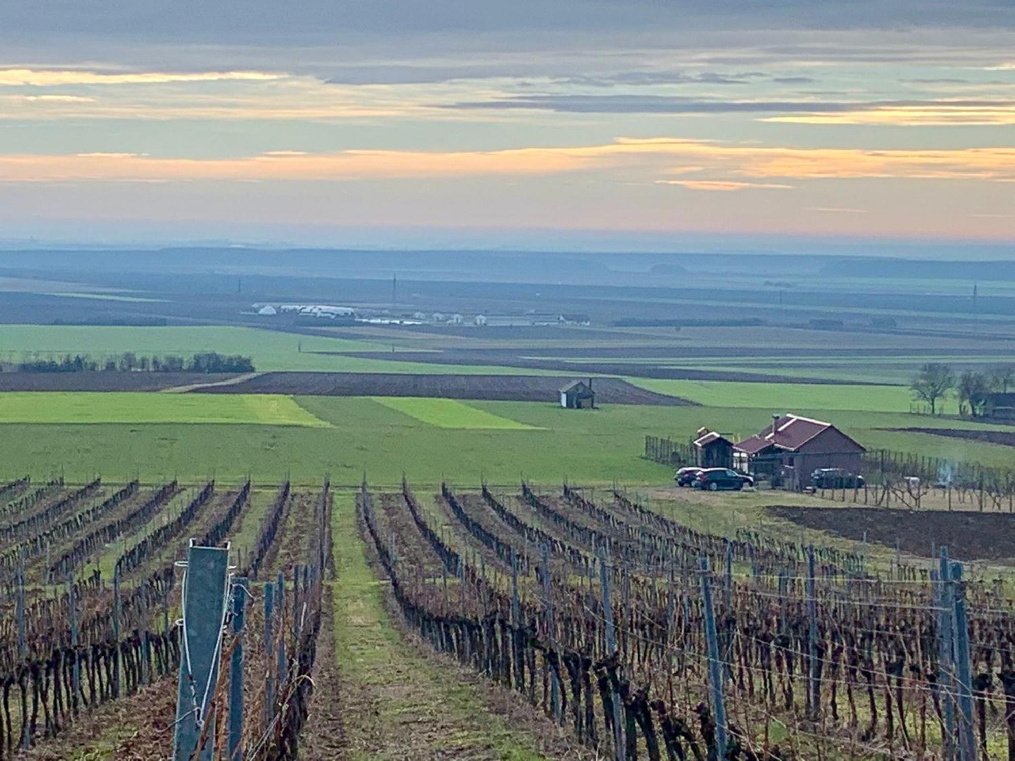 فيلا Kuca Za Odmor Kiss-Karanac,Baranja المظهر الخارجي الصورة